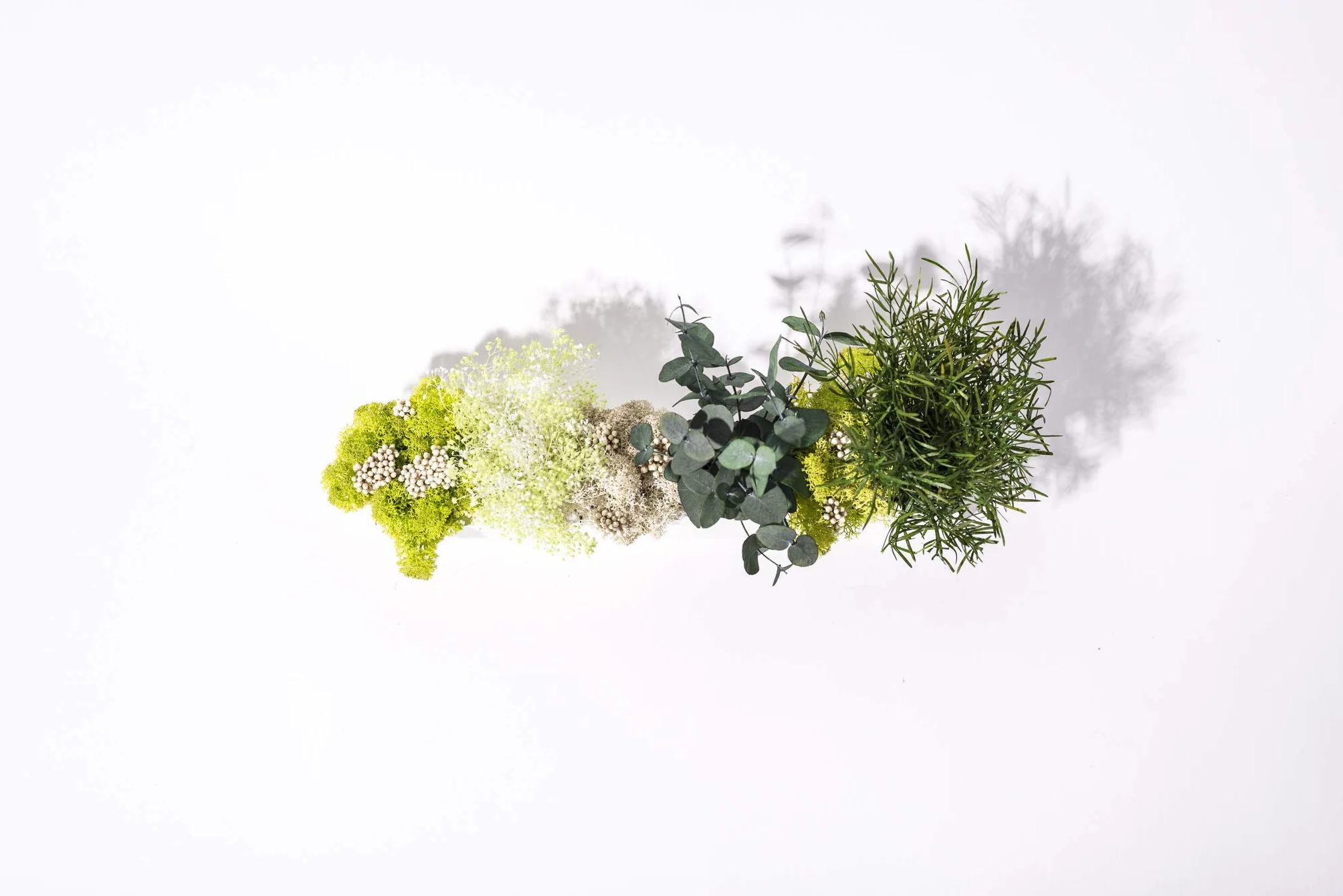 Tableau végétal barre 30 verts