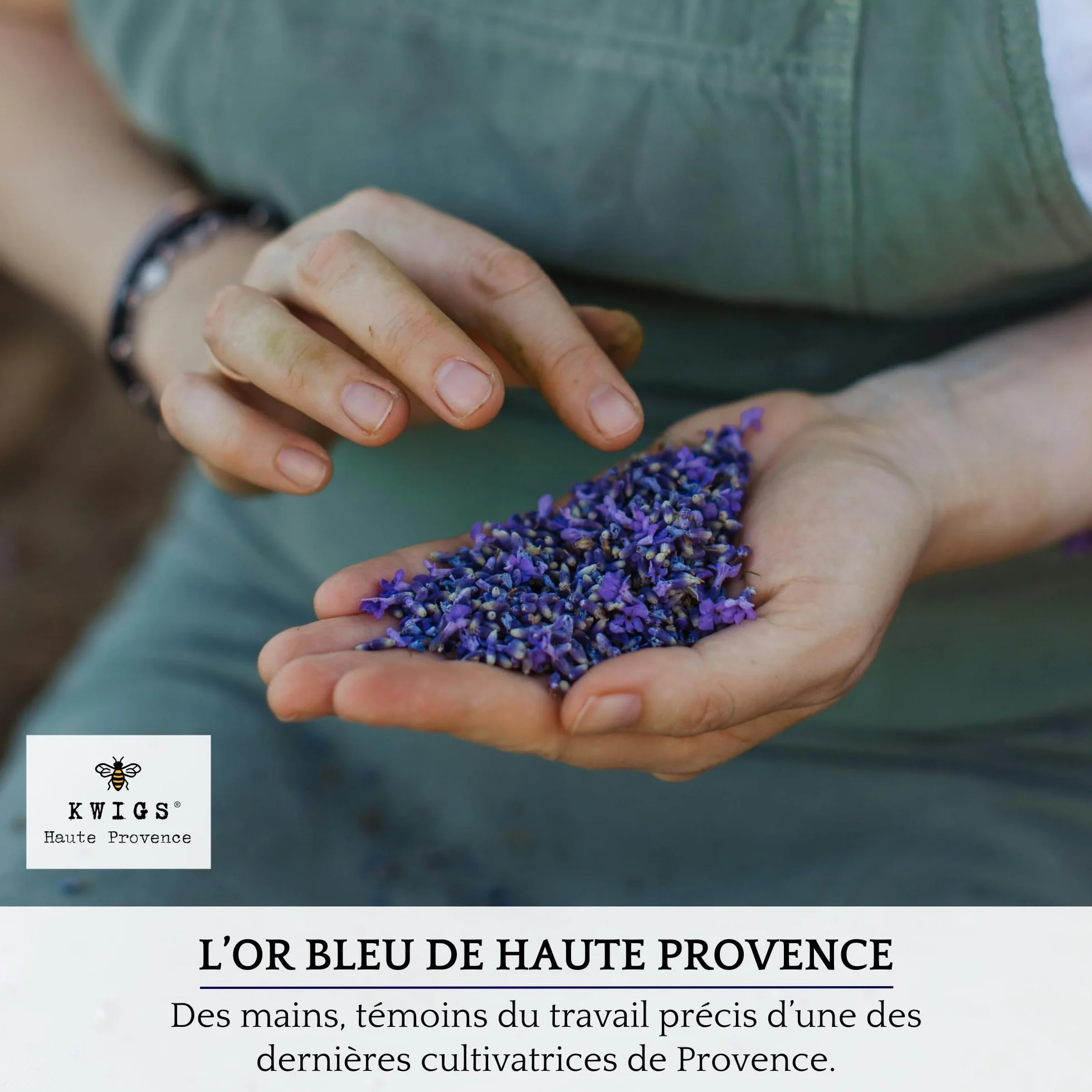 Sachet de Lavande en Jute Doublée 12 Sachets Couleur Lavande sans OGM Remplis à la Main Petit Sac pour Placards Linge Armoire Fleurs de Haute Provence