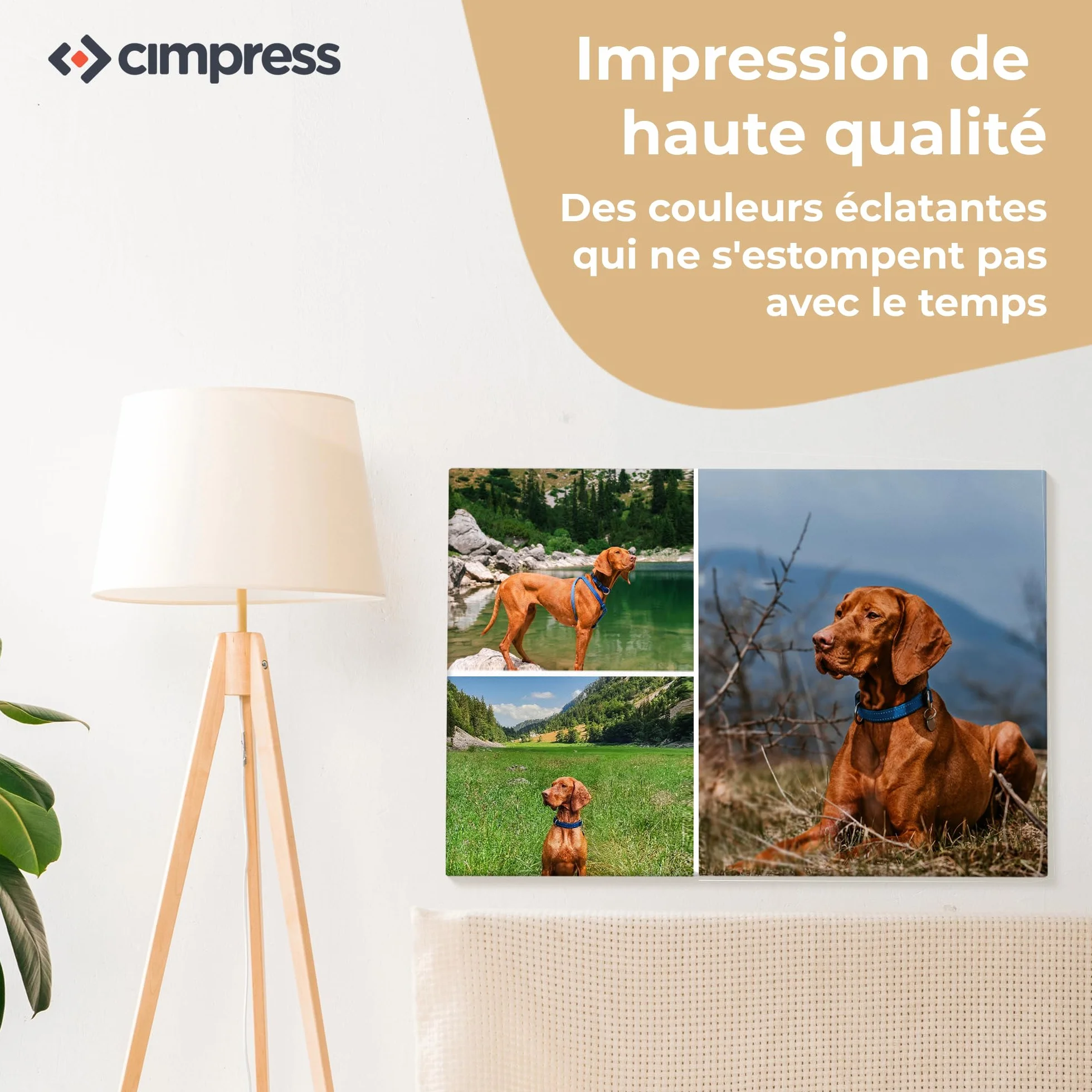 Cimpress Collage Photo sur Toile Personnalisée 30x30 cm 4 Photos