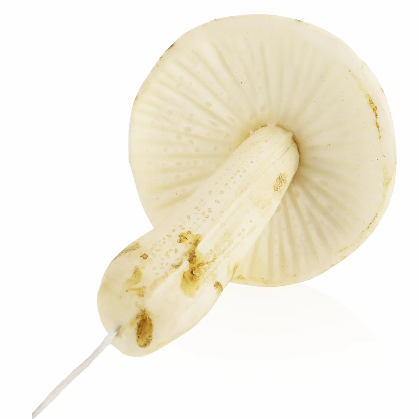 Champignons artificiels 12x Russula décoration automne couronnes compositions com-four®