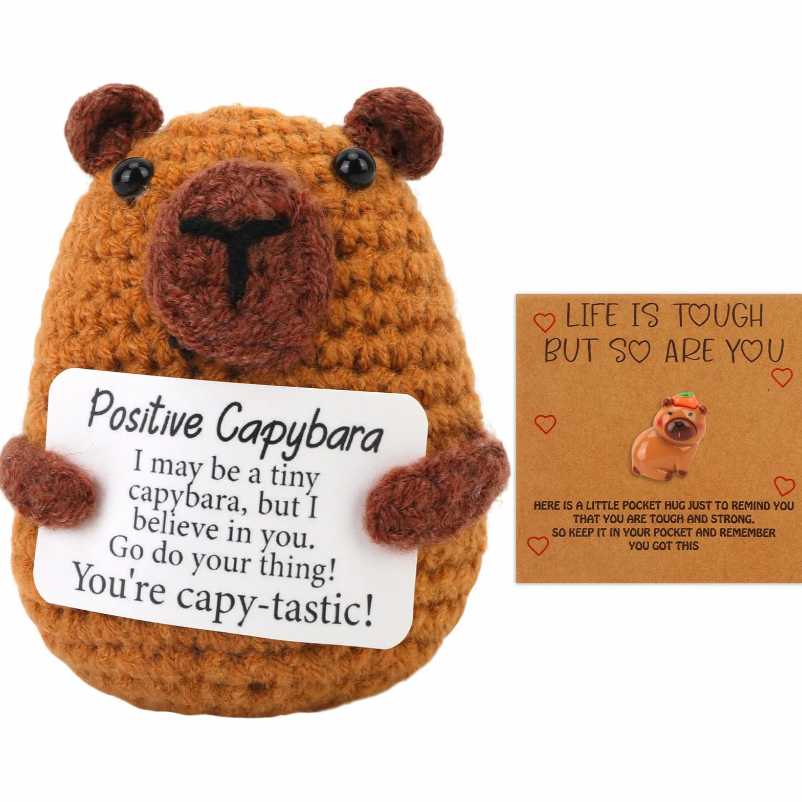 Peluche Capybara Tricoté avec Carte Motivante, Cadeau Rigolo Anniversaire pour Famille, Amis