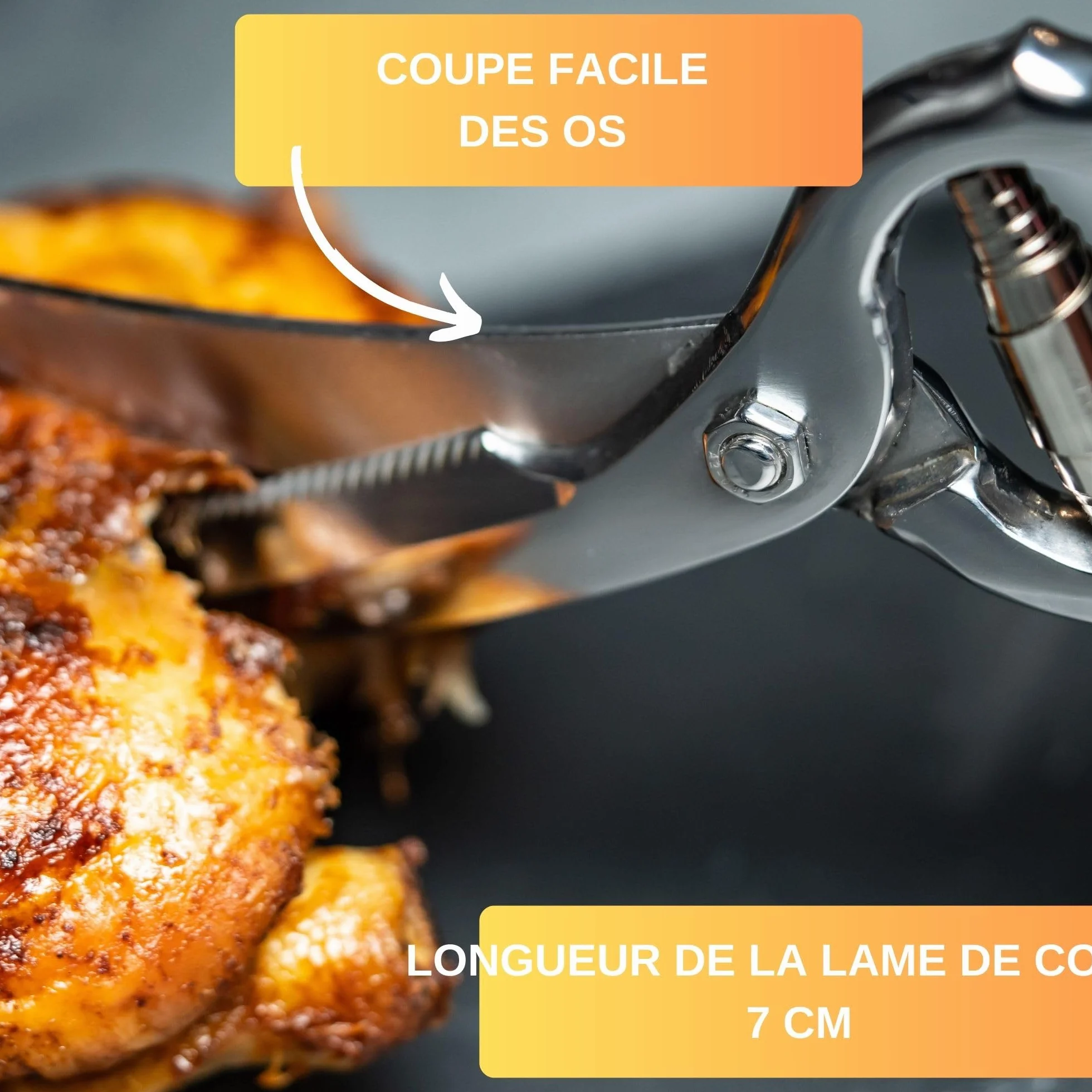 Thiru Ciseaux à volaille professionnels - Ciseaux de cuisine à ressort pour droitiers et gauchers