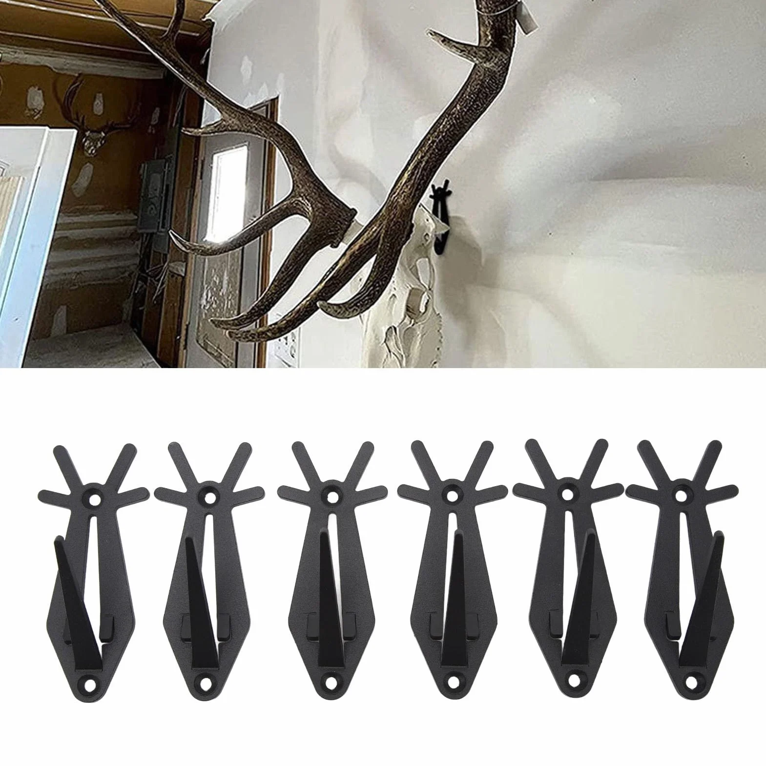 Supports Muraux Tête de Mort Européenne Lot de 6 Bois de Cerf