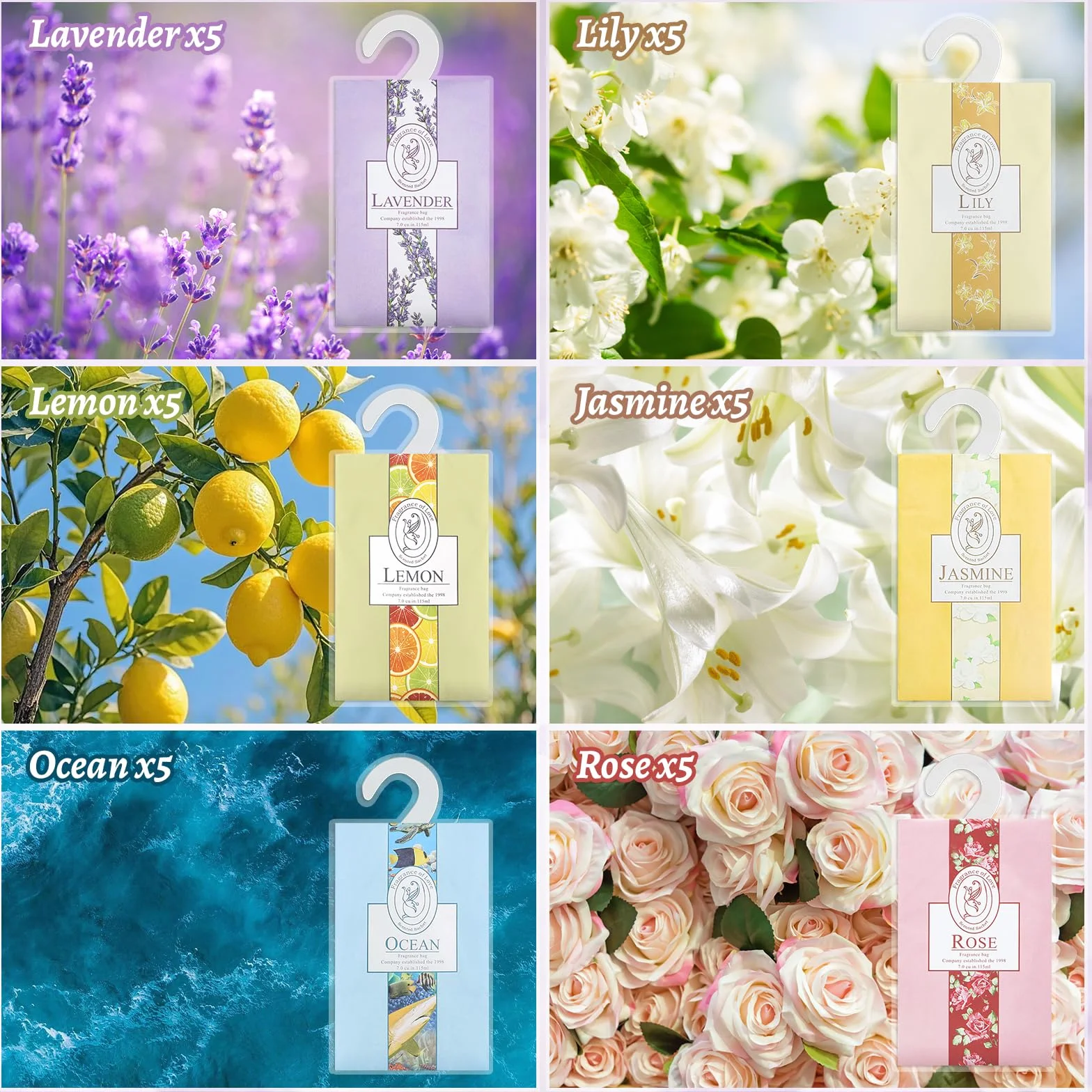 Sachets parfumés naturels anti-mites lot de 30 6 parfums désodorisants de garde-robe suspendus