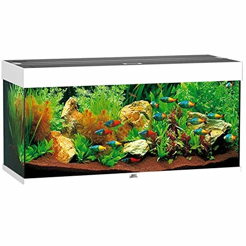 Juwel Rio 180 Aquarium complet 180 litres blanc à matériau filtrant