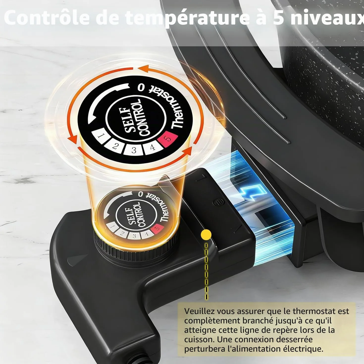 Food Party Appareil Fondue Chinoise Hot Pot Electrique 6L 220V 1200W Shabu SHabu Hotpot avec Diviseur Wok electrique