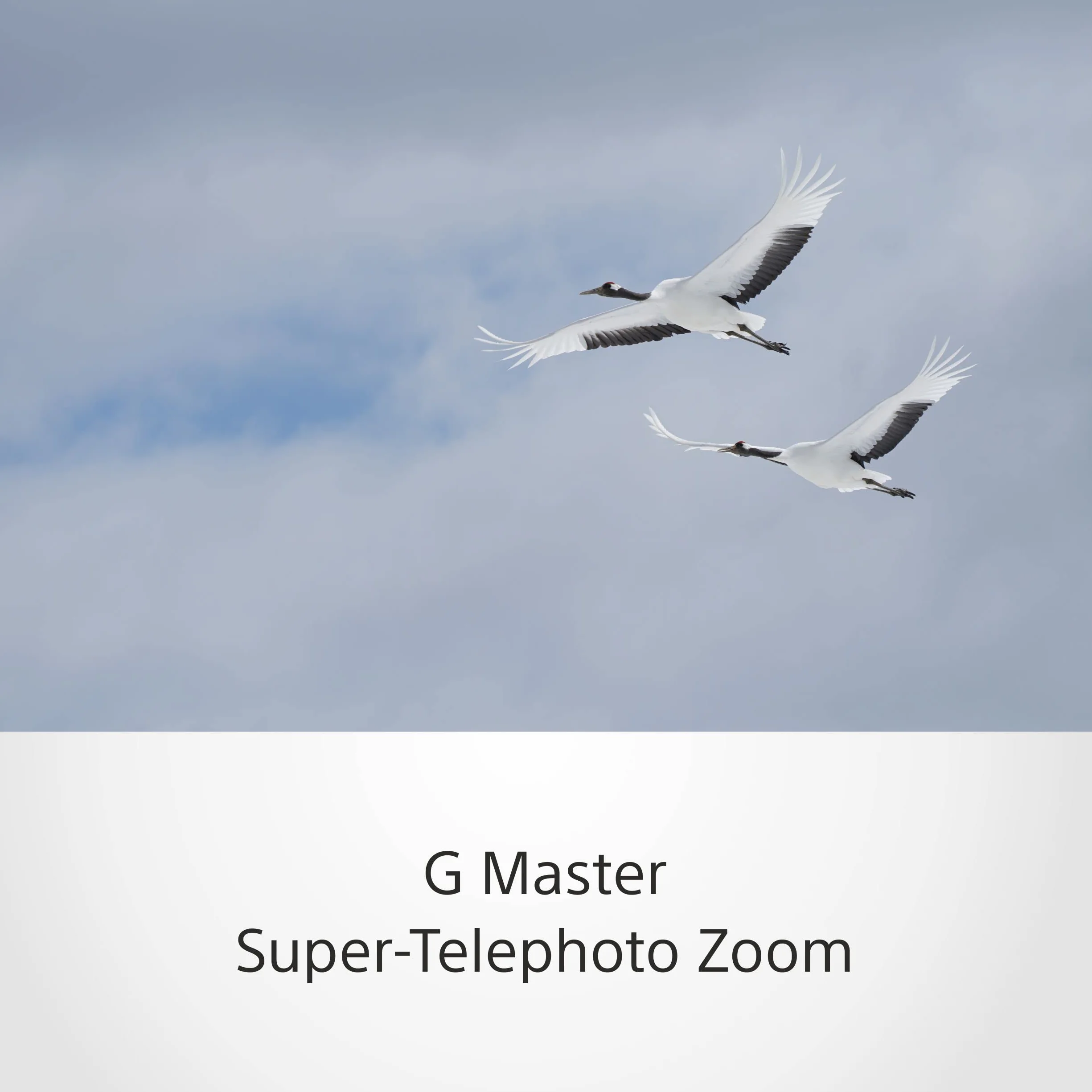 Sony 100–400 mm f/4.5–5.6 G Master OSS E-Mount teleobiektyw superzoom (doskonały do sportu, dzikiej przyrody i akcji)