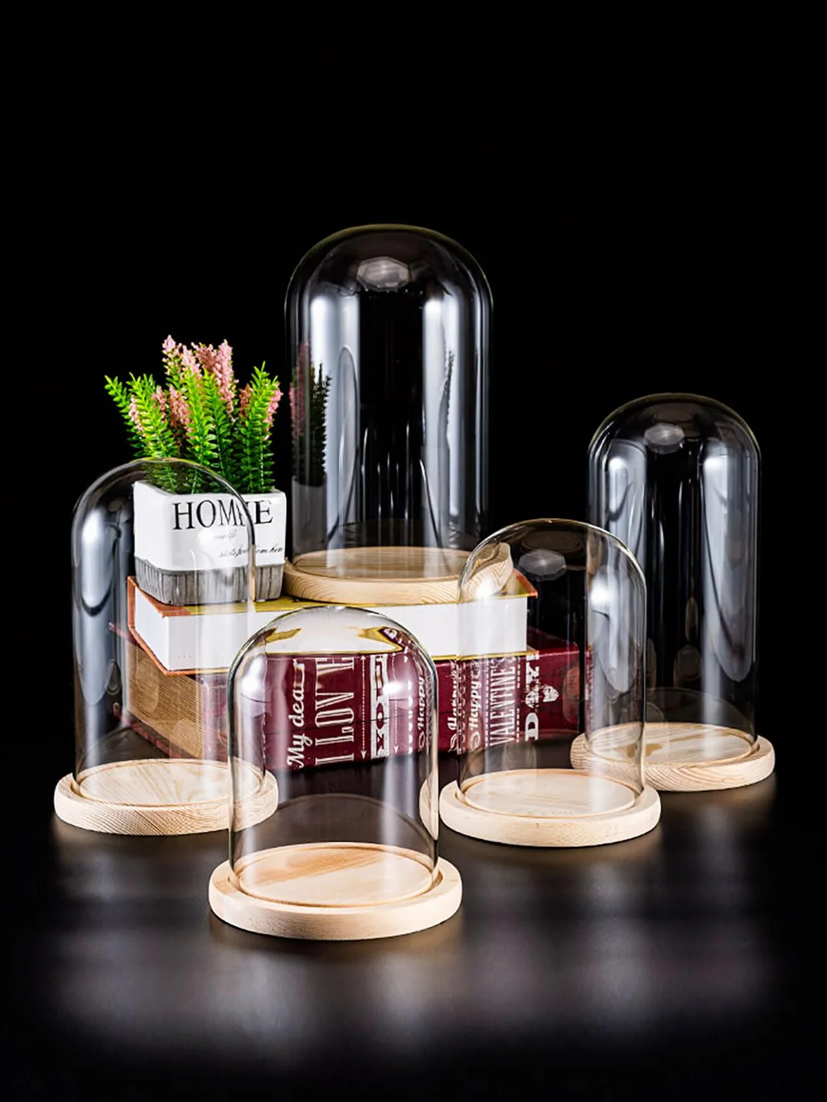 Cloche en Verre avec Base en Bois, diamètre 20 cm. Cloche en Verre avec Base en Bois Massif for Exposer Plantes, Ornements et Figurines.(20 * 30cm)