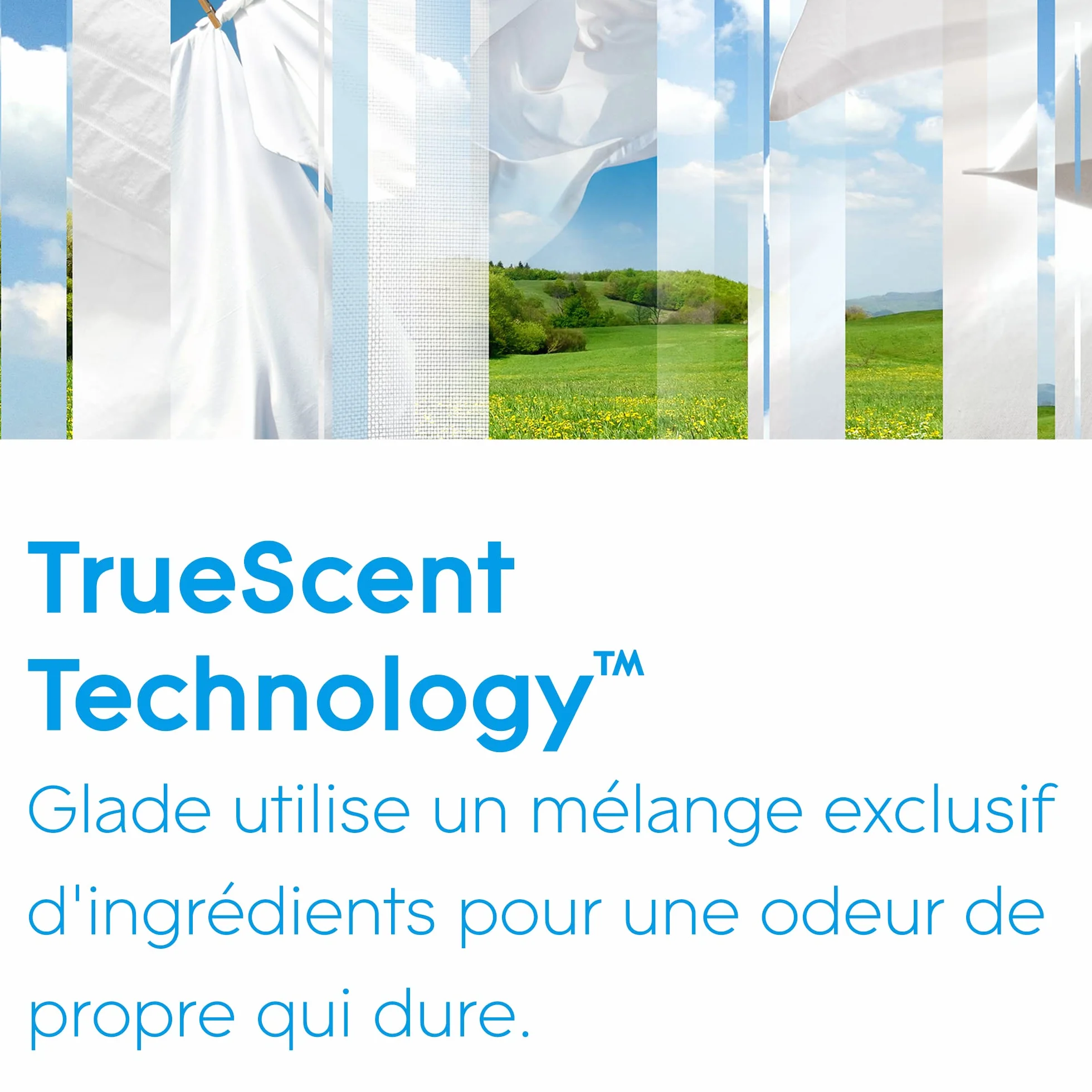 Glade Sense et Spray Recharge Duopack Diffuseur à Détection de Mouvement Infusé Aux Huiles Essentielles Pure Clean Linen