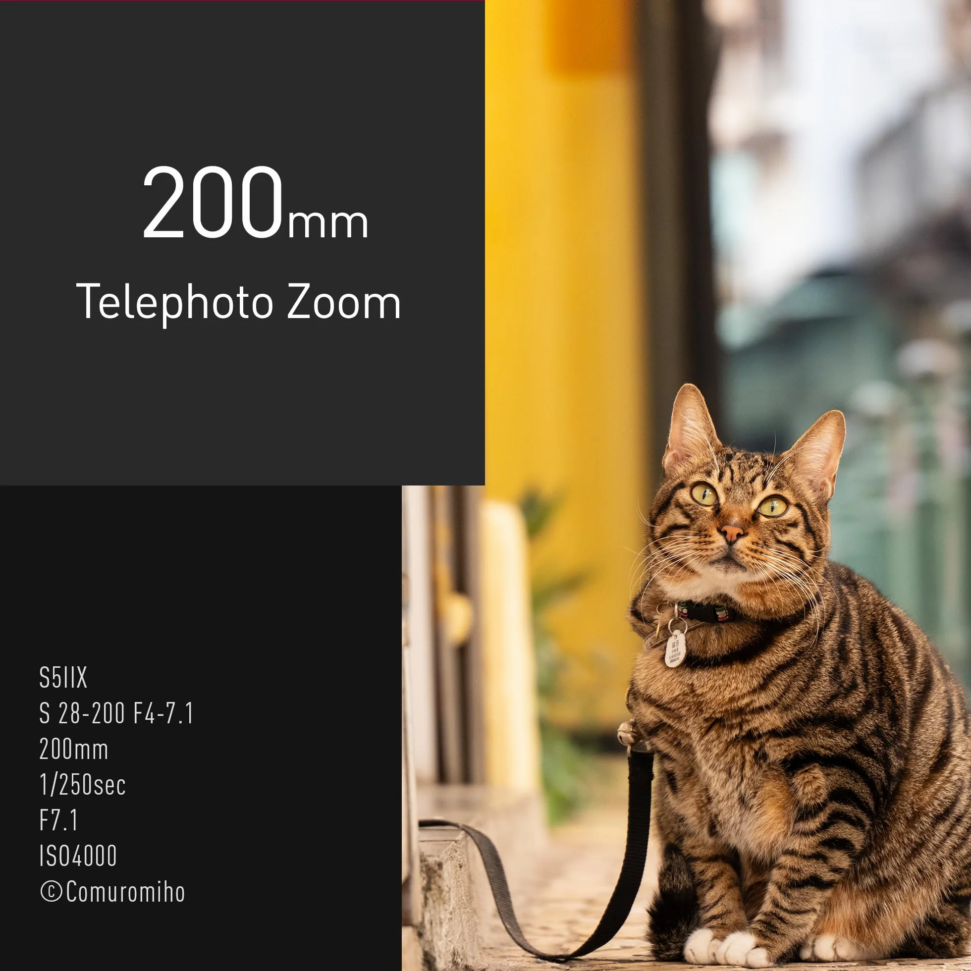 Panasonic Lumix S-R28200E 28-200mm F4.0-7.1 Obiektyw Makro, Obiektyw Pełnoklatkowy, Szeroki i Długi Obiektyw Zmiennoogniskowy, Dual IS 2, Odporny na Kurz, Zachlapanie i Mróz, do Filmów 4K, Czarny