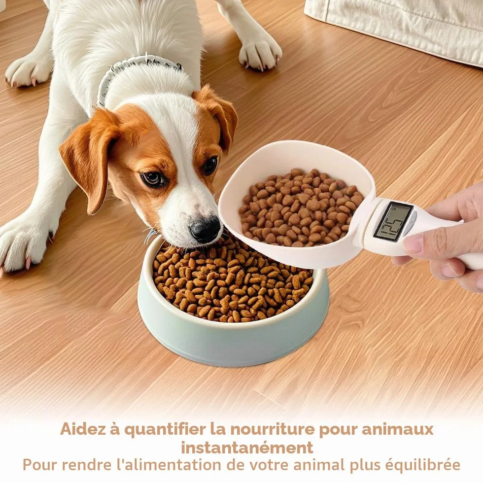 Mizikuu Balance Cuillère Numérique 800g Pelle à Mesurer LCD Cuillère Mesure Électronique Cuisine Doseuse