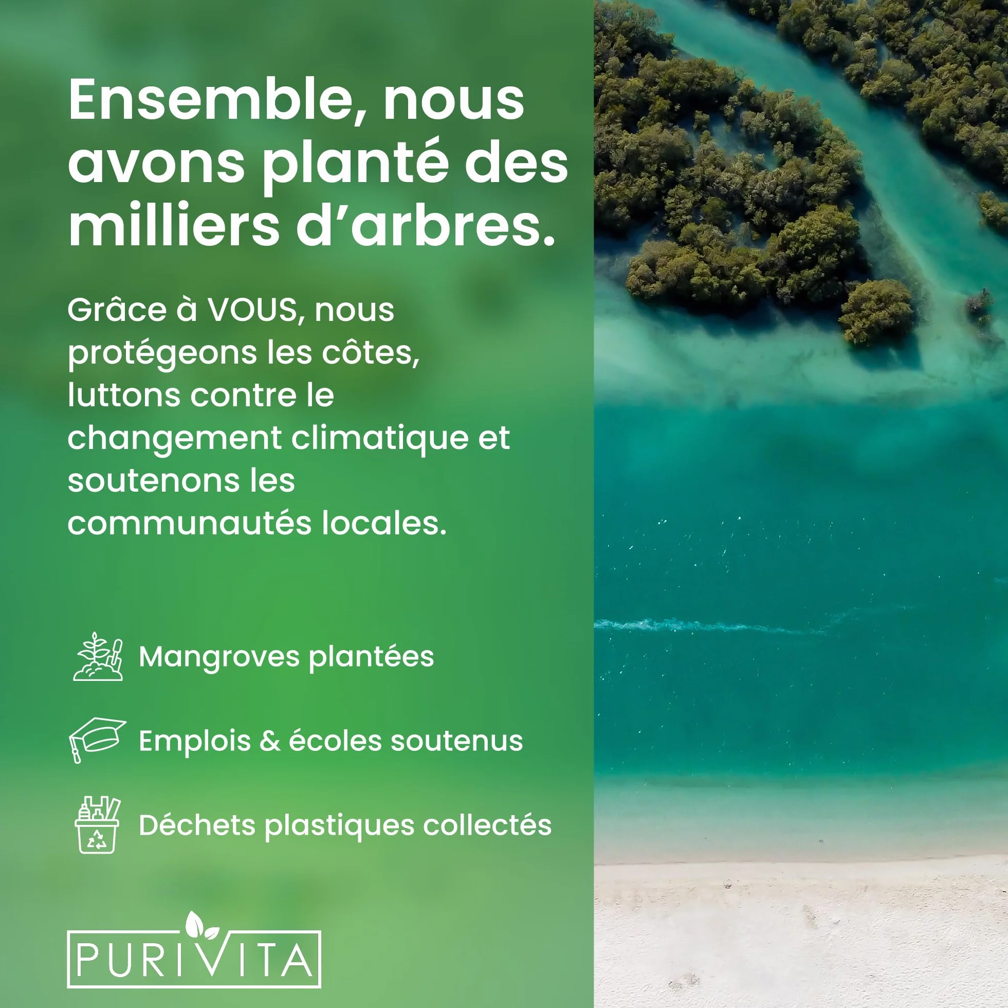 PURIVITA® Détartrant Machine à Café 500ML Anti Calcaire Compatibilité Universelle Anticalcaire