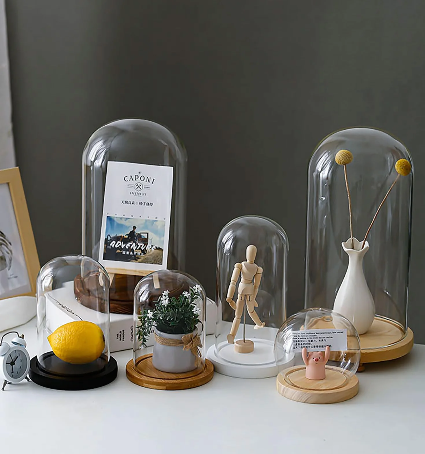 Cloche en Verre avec Base en Bois, diamètre 20 cm. Cloche en Verre avec Base en Bois Massif for Exposer Plantes, Ornements et Figurines.(20 * 30cm)