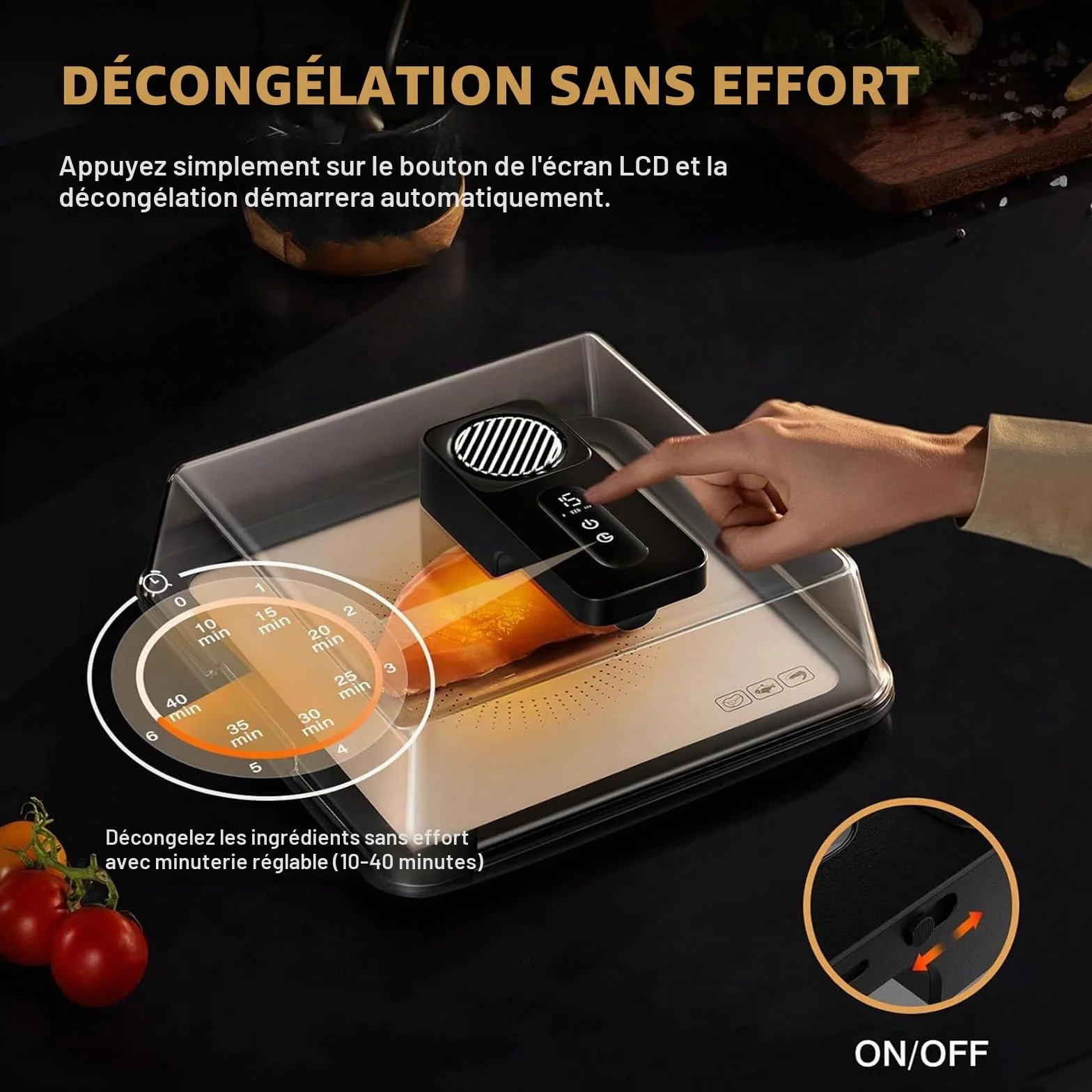 Planche de décongélation électrique – Plateau de décongélation de viande de 4,2 L – Décongélation rapide en 10 minutes – Rechargeable par USB, pas besoin d'eau pour la viande congelée, les fruits de