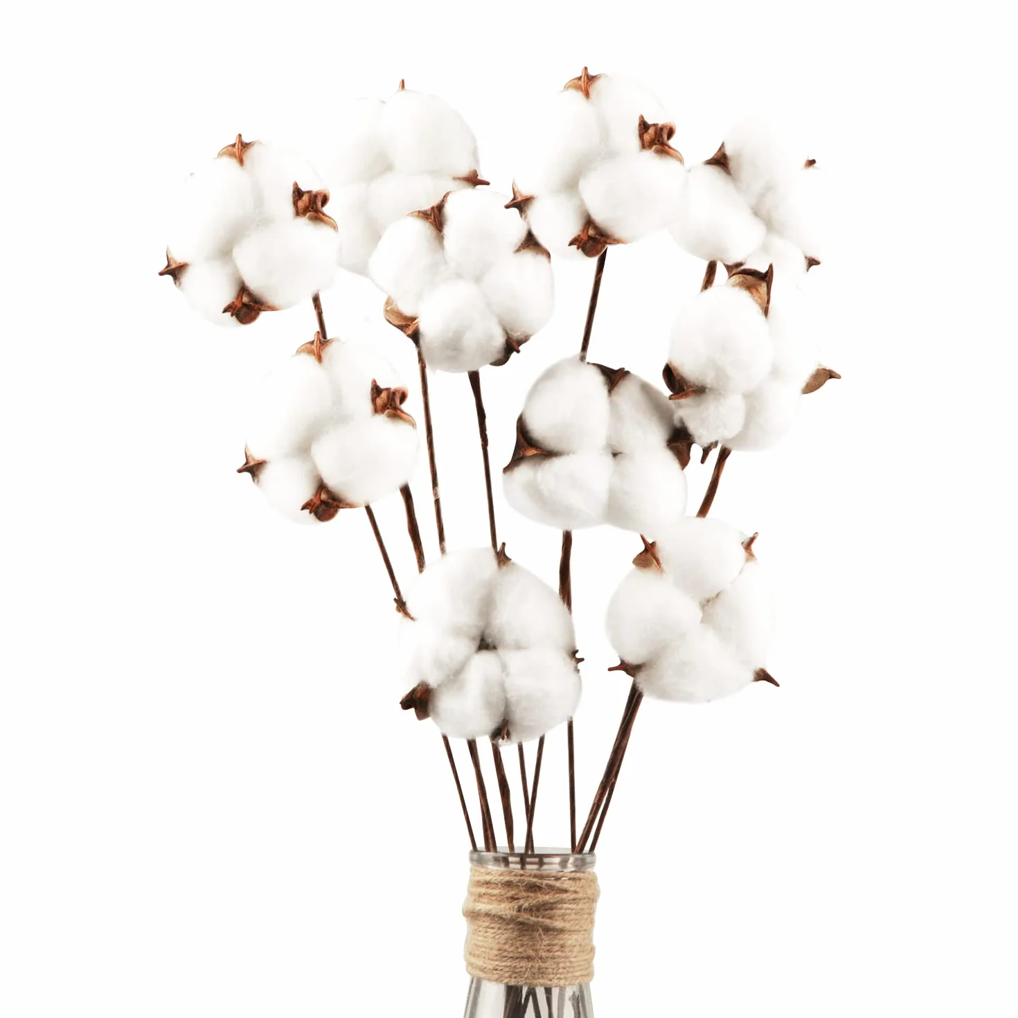 Fleurs de Coton Sechees Naturelles 10 Pack Fausses Branches Decoration Maison Balcon Composition Florale