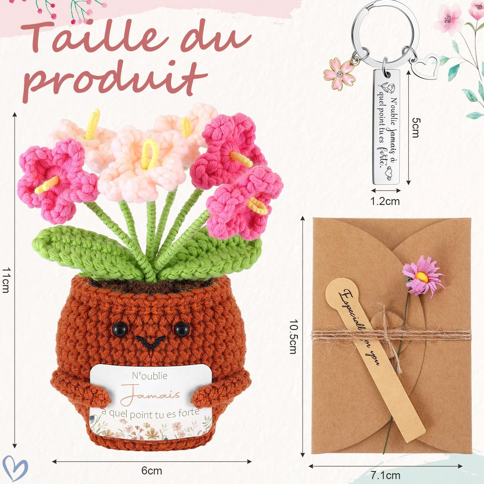 Porte-Clés au Crochet Plante en Pot avec Carte de Vœux Fleurs Séchées Coffret Cadeau