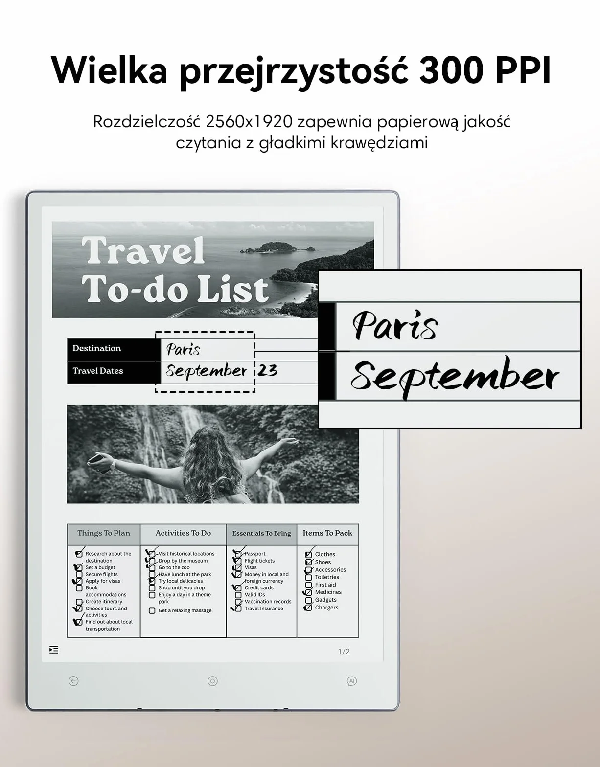 VIWOODS Zestaw Ulepszony z AiPaper, Stylus Pro i 5 Rysikami, Carta 1300 AI E Ink Tablet, 10.65'' 300PPI Elektroniczny Notatnik z Długopisem, Ultra-Cienki 4.5mm, Lekki 370g