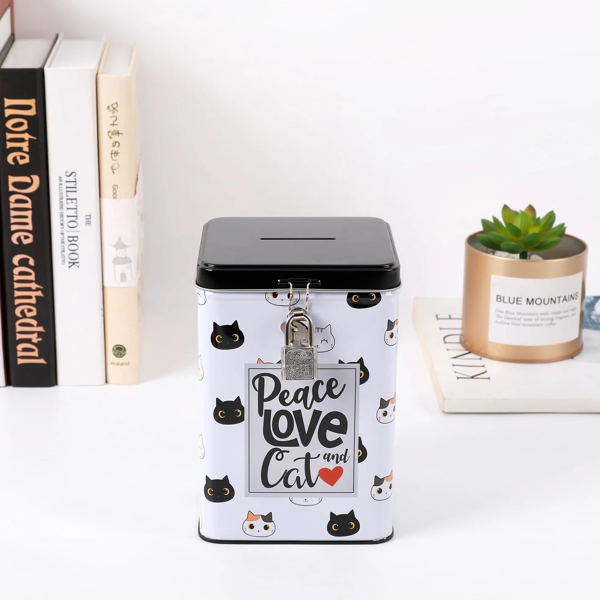 Tirelire drôle avec Cadenas et clés Porte-Monnaie en métal avec Fermeture Chat