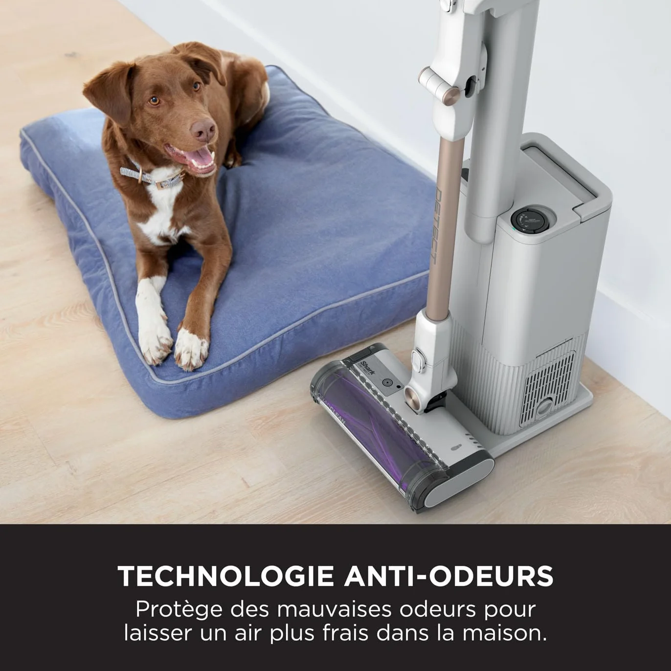 Shark Aspirateur sans fil Detect Clean & Empty, aspiration puissante, système de détection de la saleté, base auto-vidante 2l, autonomie 60min, fonction anti-emmêlement, suceur plat, Blanc IW3612AMZEU