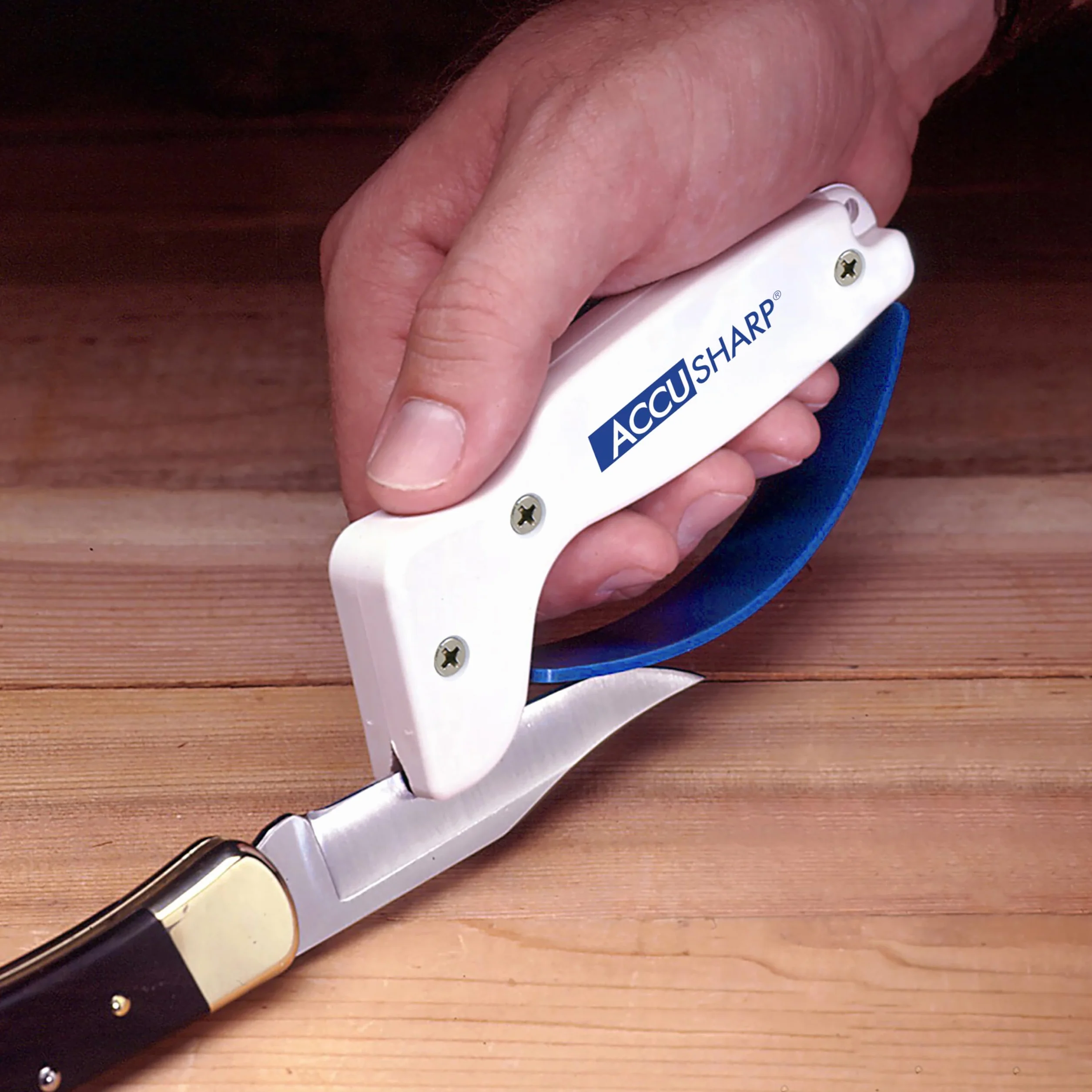 ACCUSHARP Aiguiseur de Couteaux Ergonomique Compact Facile à Utiliser pour Couteaux Droits et Dentelés Blanc