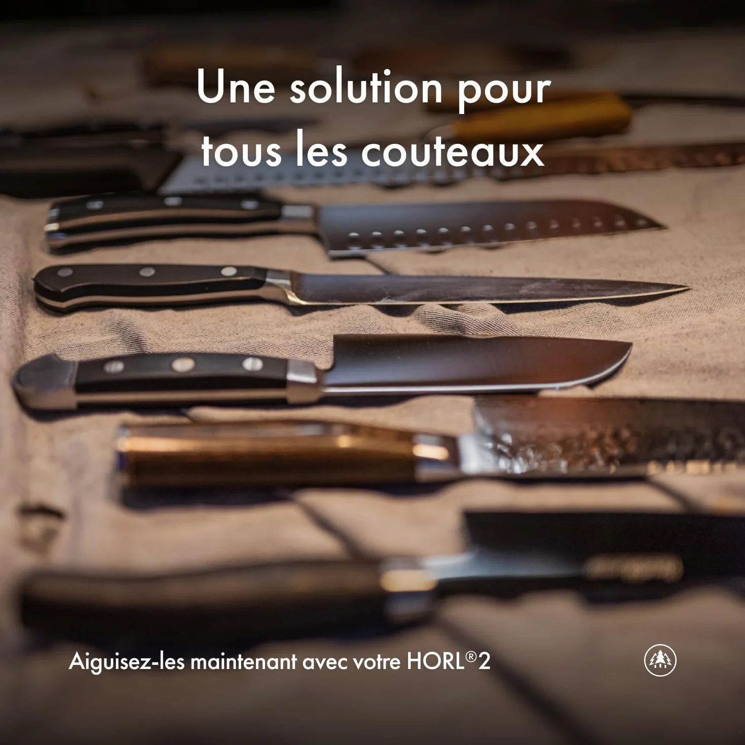 HORL 2 Aiguiseur Roulant chêne pour couteaux de cuisine – Fabriqué en Allemagne