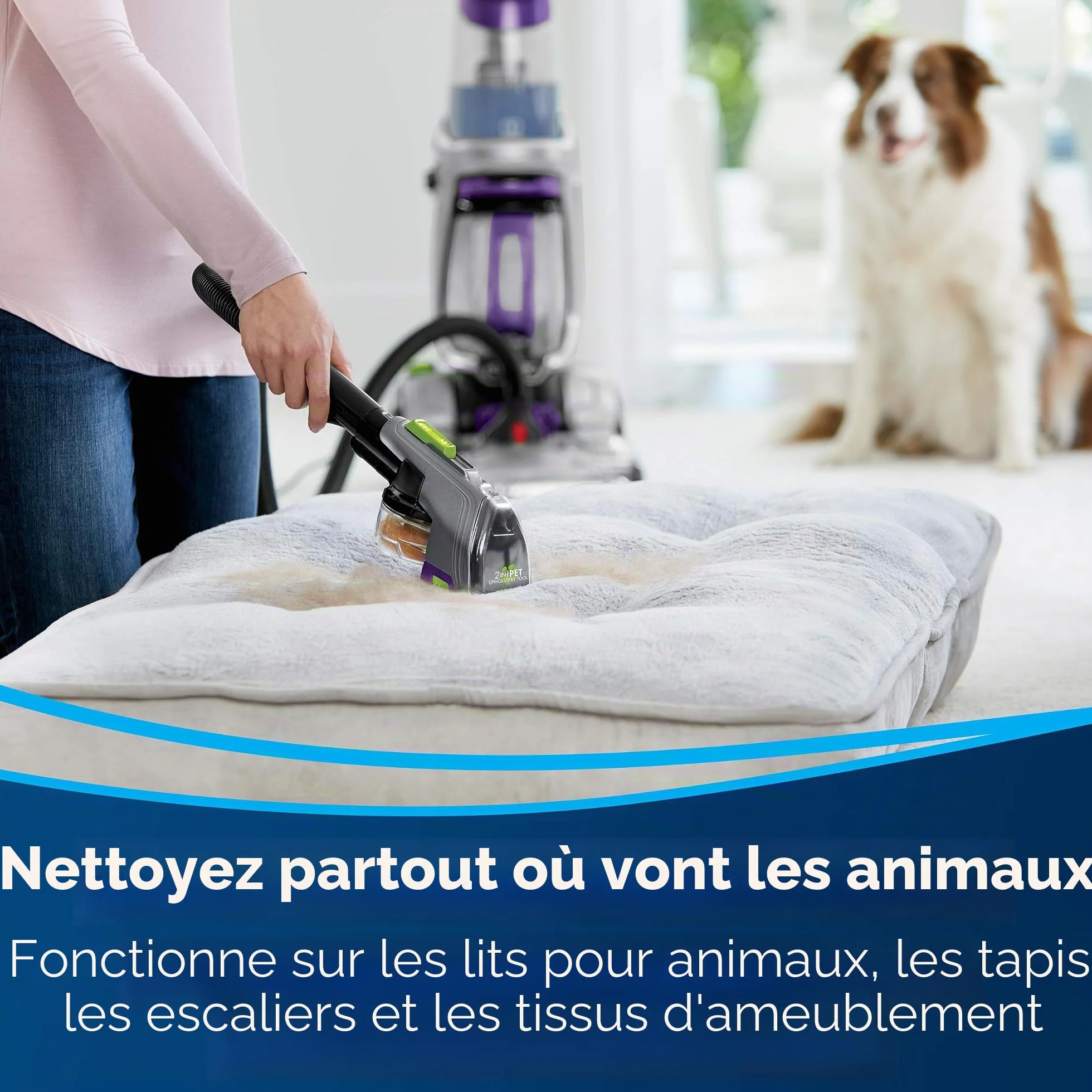 BISSELL Outil 2 en 1 pour Nettoyage de Tapis et Tissus d'ameublement (3259)