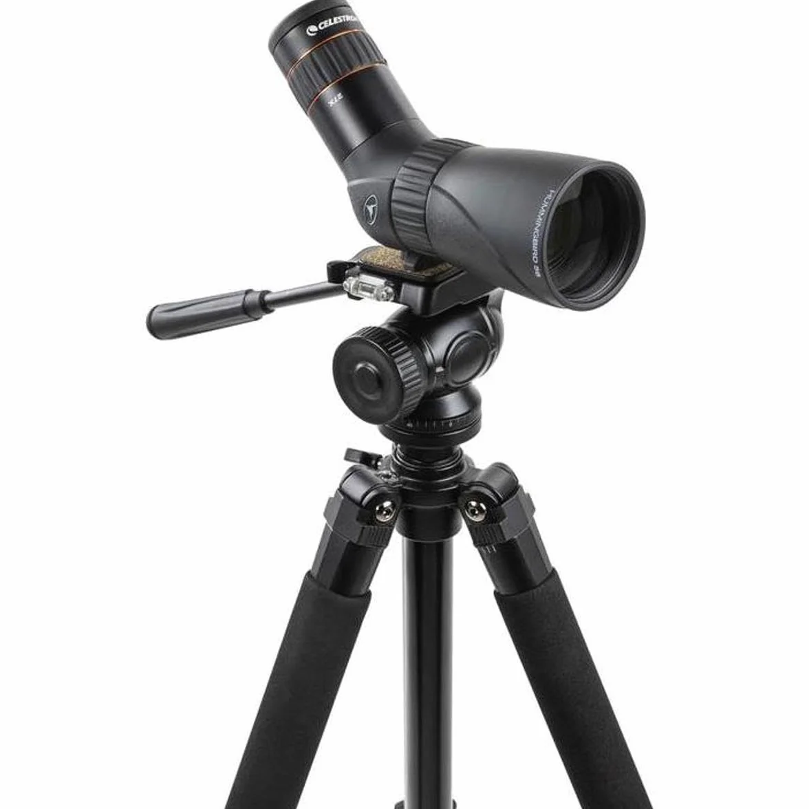 Celestron 52310 Hummingbird Micro Spotting Scope, 9 to 27x Magnification Range, BaK-4 Prism Glass - Black