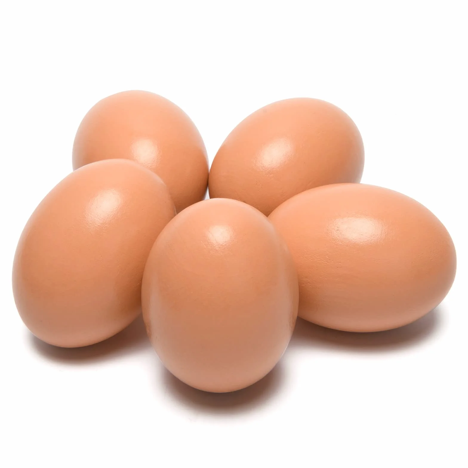 Œufs en bois artificiels lot de 5 pour poules - Outil agricole ponte