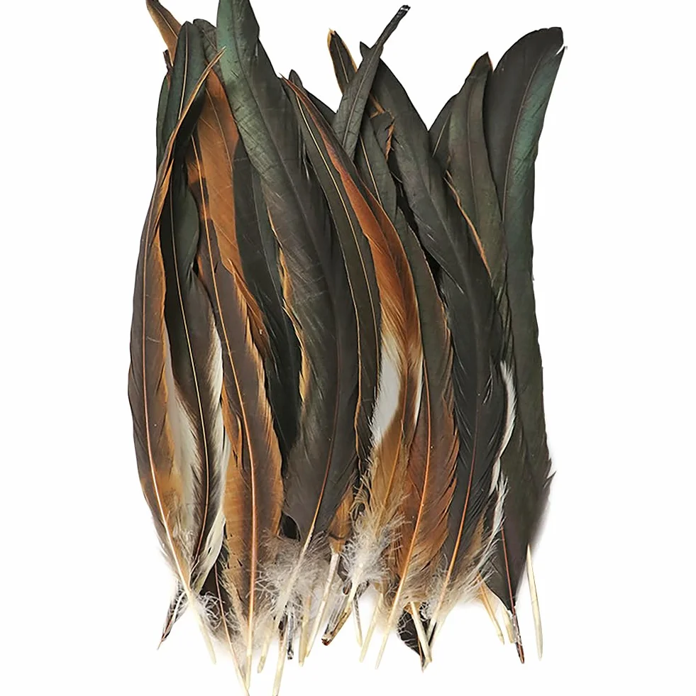 Plumes de coq naturelles 20-25 cm Queue de faisan marron Lot de 100 pour projets artistiques