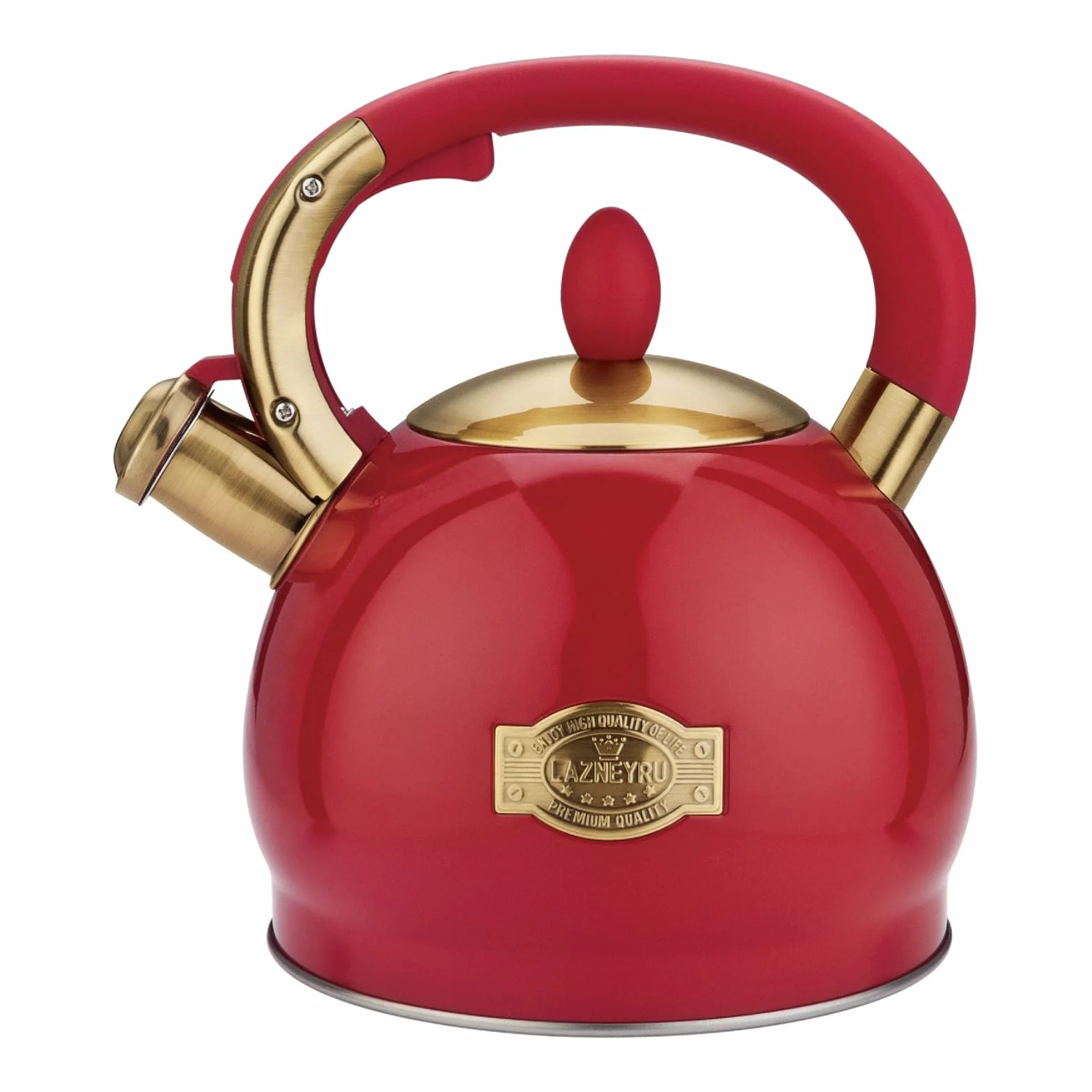 2,8 L Bouilloire à sifflet pour induction, théière en acier inoxydable pour tous les types de cuisinières