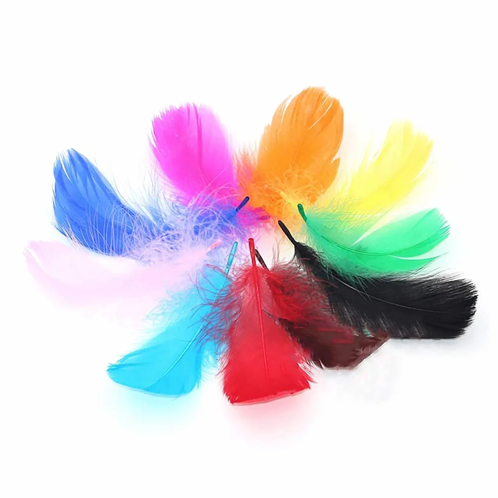Plumes Couleur 300 PCS Naturelles Décorations Bricolage 8-12CM