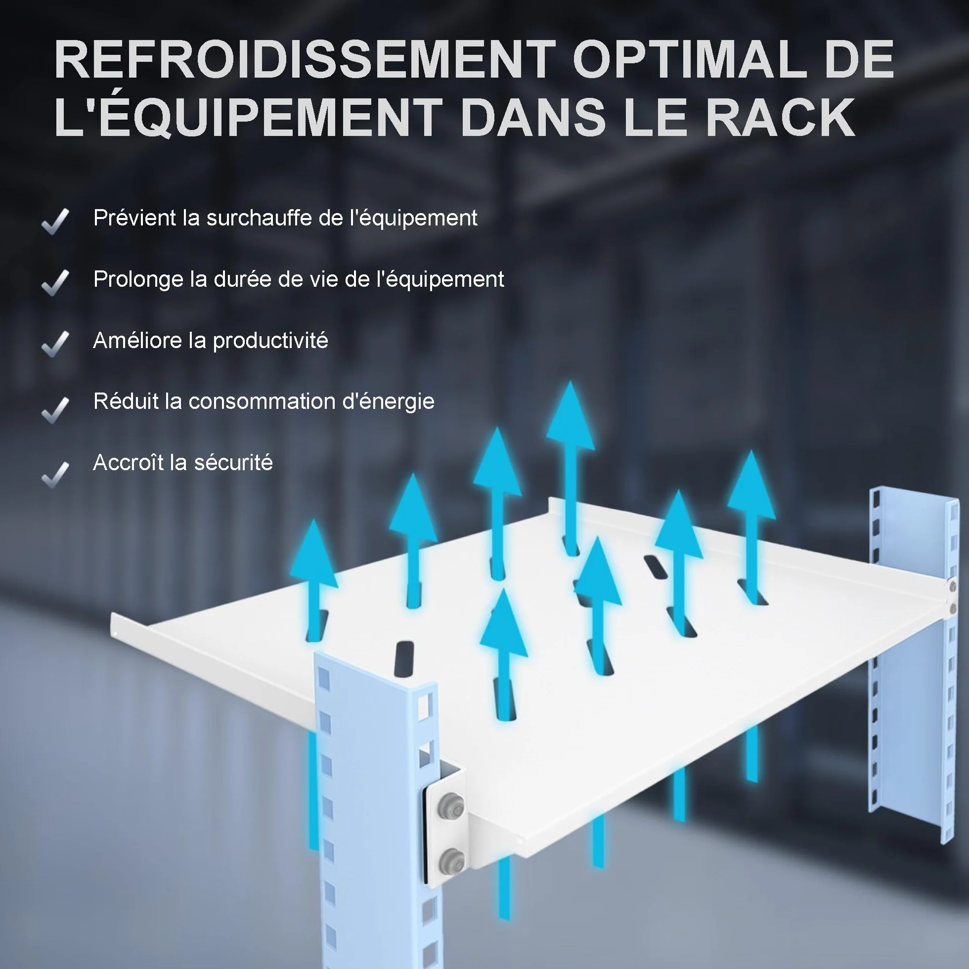 Extralink Étagère Rack Serveur 19 Pouces 1U 350 mm Plateau Cantilever Universel Ventilé Gris