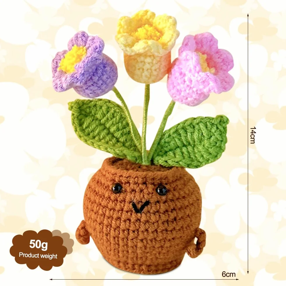 Fleurs au Crochet Faites à la Main dans un Pot, Cadeau Créatif pour Femme et Ado