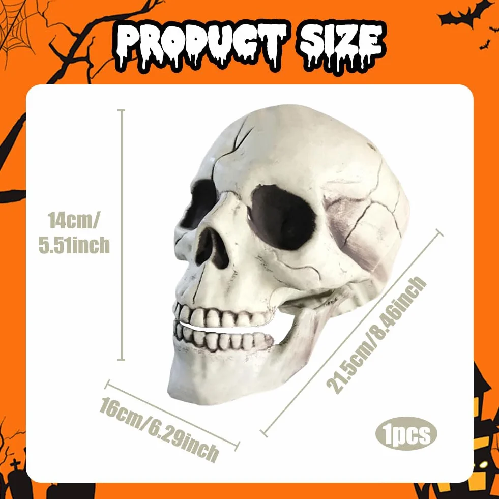 Squelette Crâne Halloween Décoration Tête En Plastique Modèle Pour Fête Effrayante