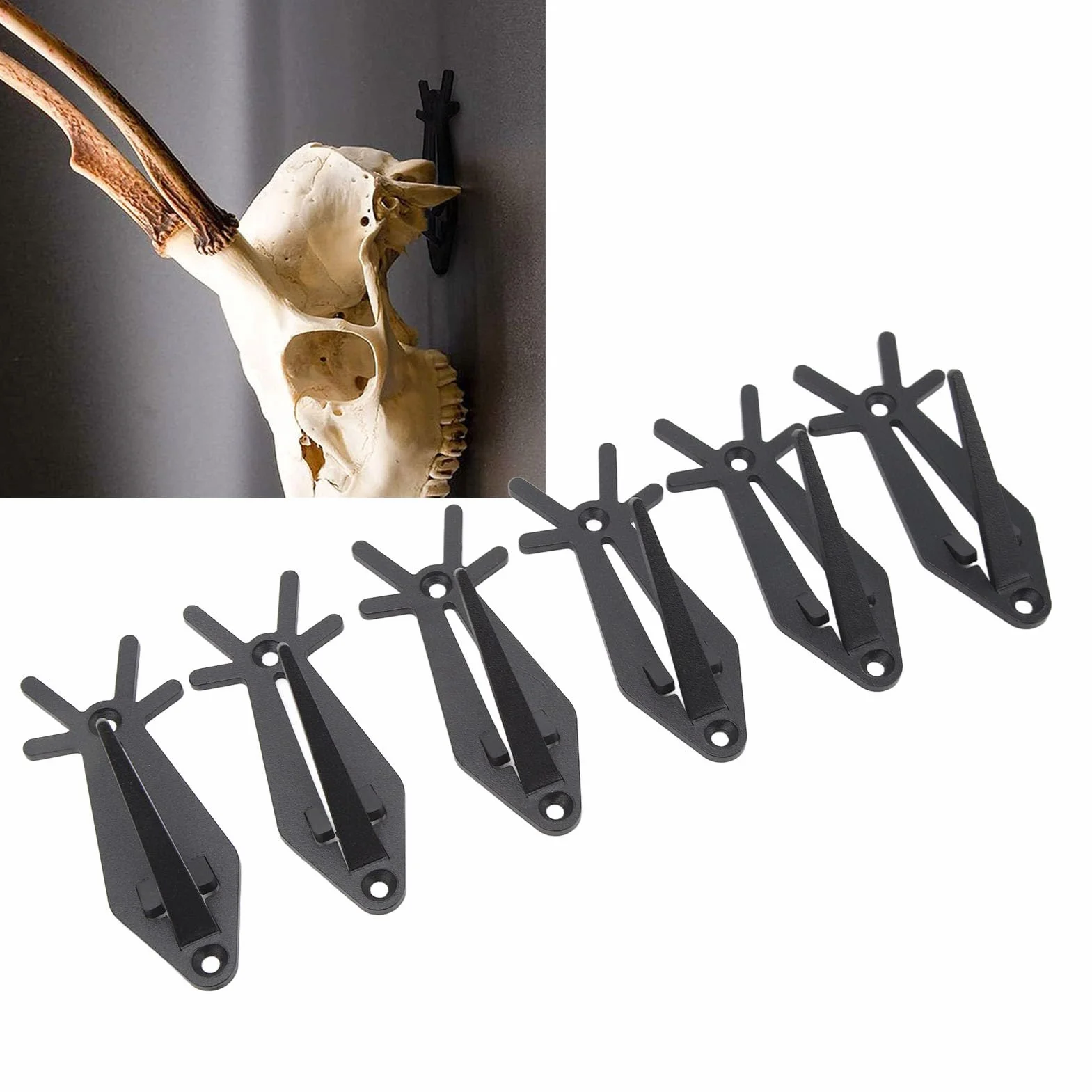 Supports Muraux Tête de Mort Européenne Lot de 6 Bois de Cerf