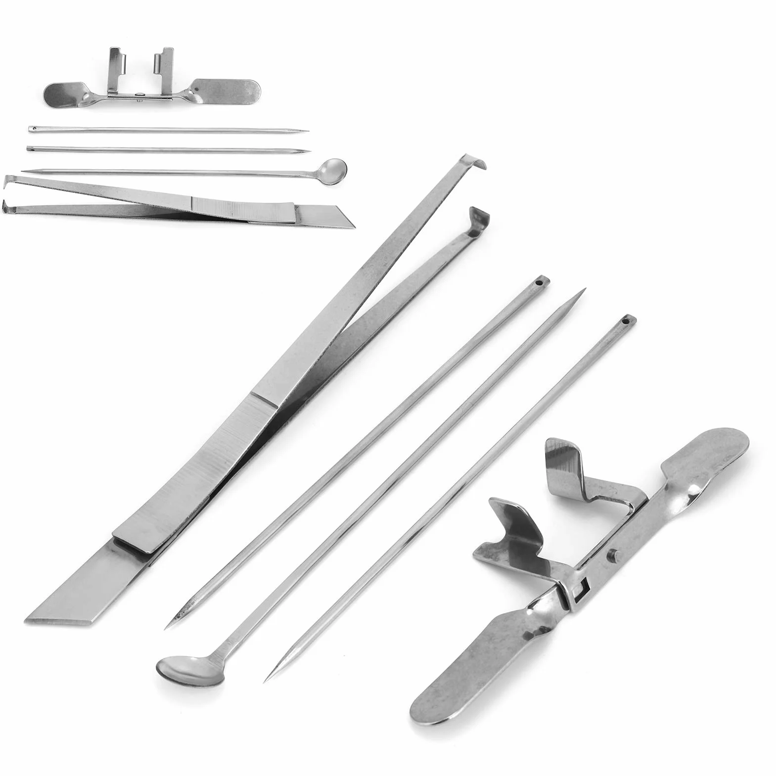 Kit D'outils pour Chapon de Poulet, Dispositif Vétérinaire en Acier Inoxydable, 5 Pièces