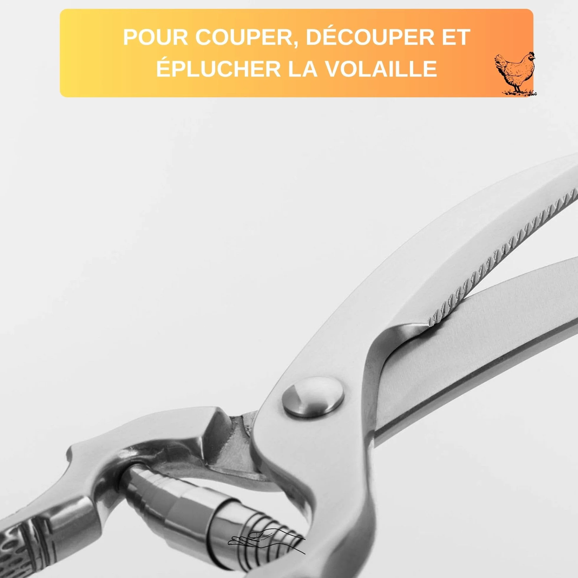 Thiru Ciseaux à volaille professionnels - Ciseaux de cuisine à ressort pour droitiers et gauchers