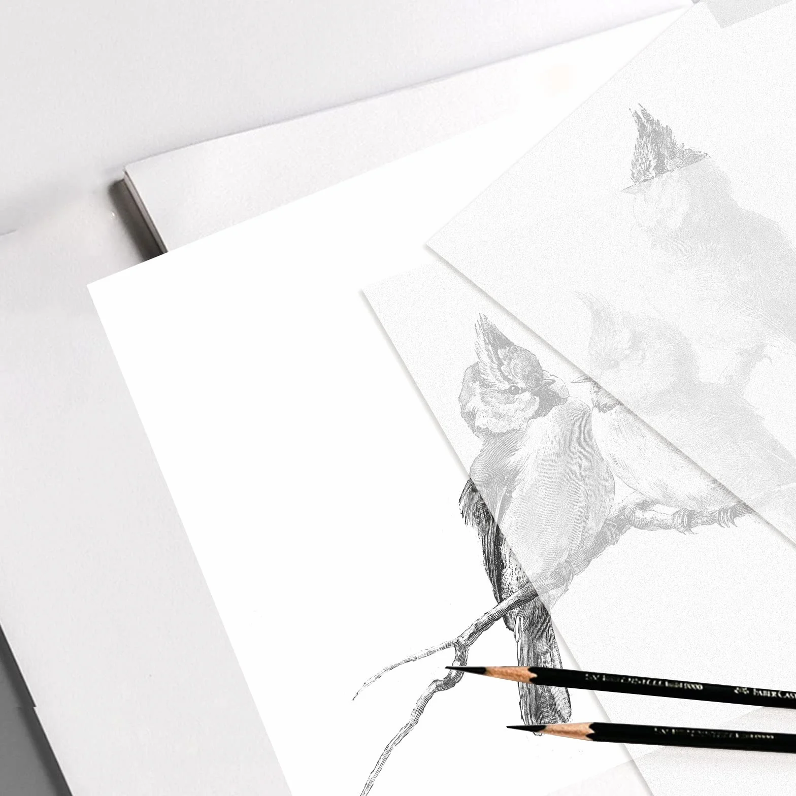 Papier calque 45 cm x 50 m – Papier blanc translucide pour dessin, croquis, et patron de couture