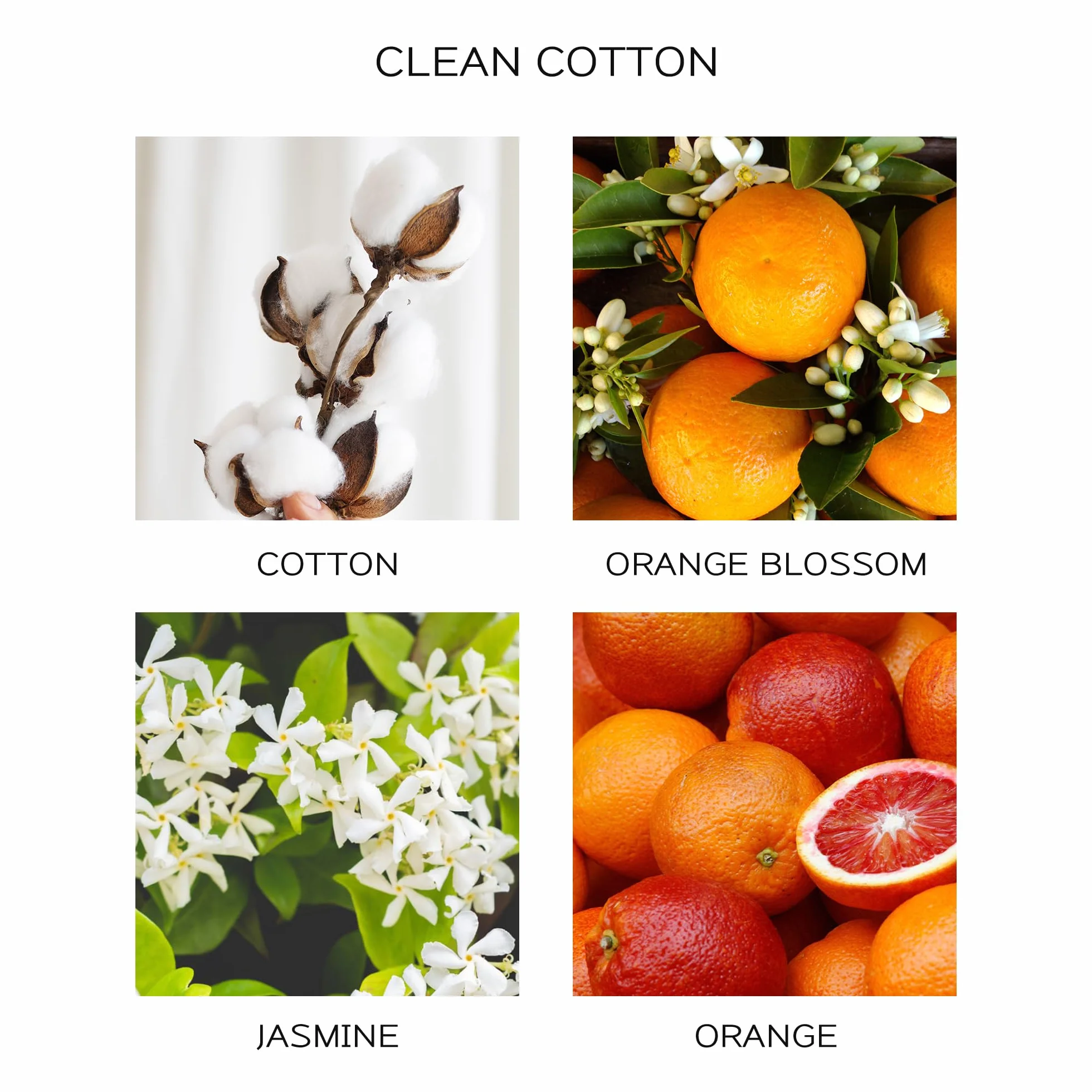 Airkeep Recharge Liquide Parfumé 200ml pour Diffuseur à Bâtonnets Clean Cotton Parfum d'Ambiance Maison