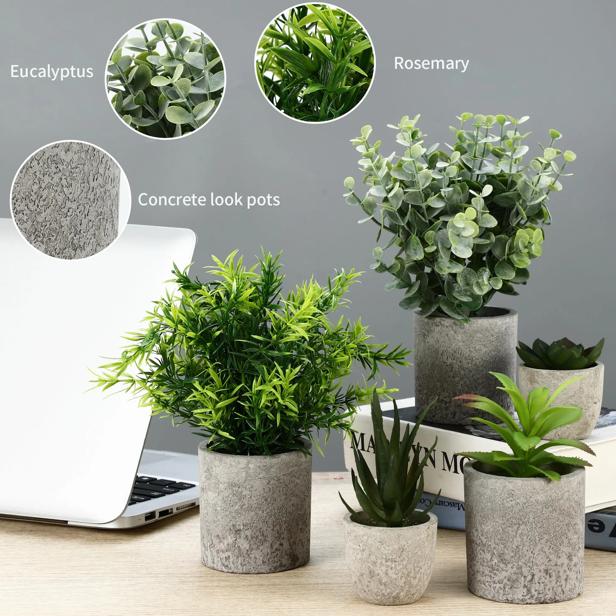 Plantes Artificielles Mini Interieur Serpentine Agave Succulentes Aloe Vera Decoration Bureau