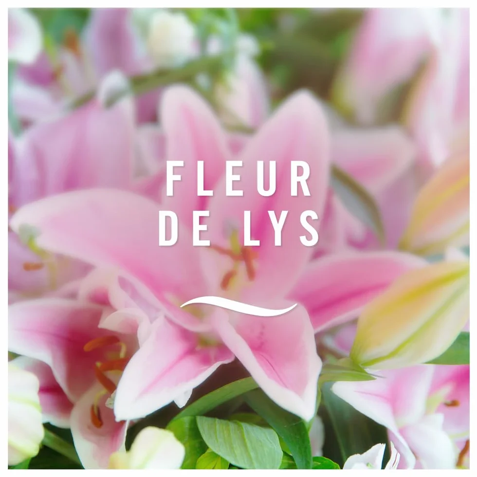 Febreze Désodorisant Électrique Méga Pack Recharges 4x20ml 3 Parfums Fleur de Lys Fraîcheur 90 Jours