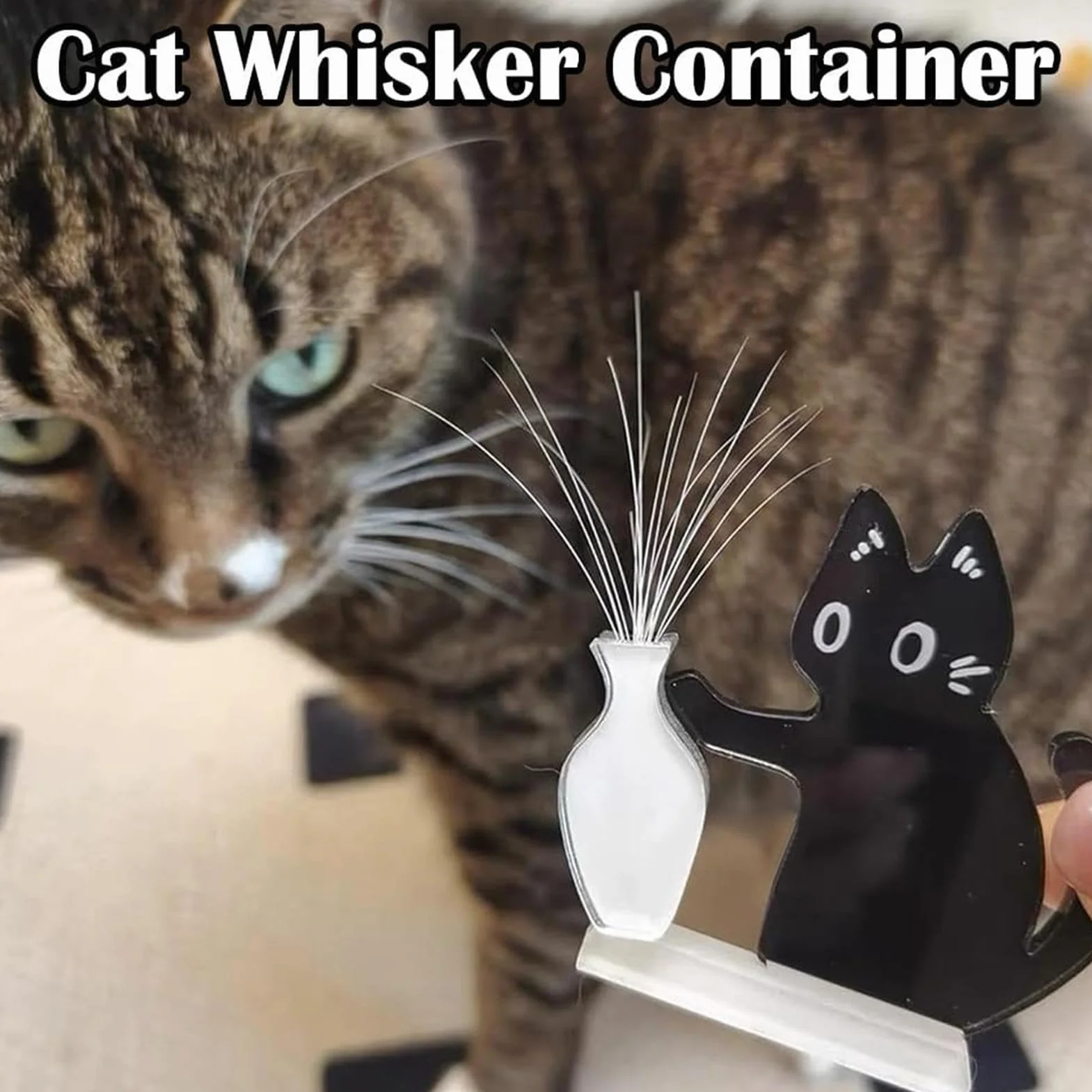 Aimant À Pousser Pour Vase En Forme De Chat Noir, Porte-Moustaches Chat Magnétique