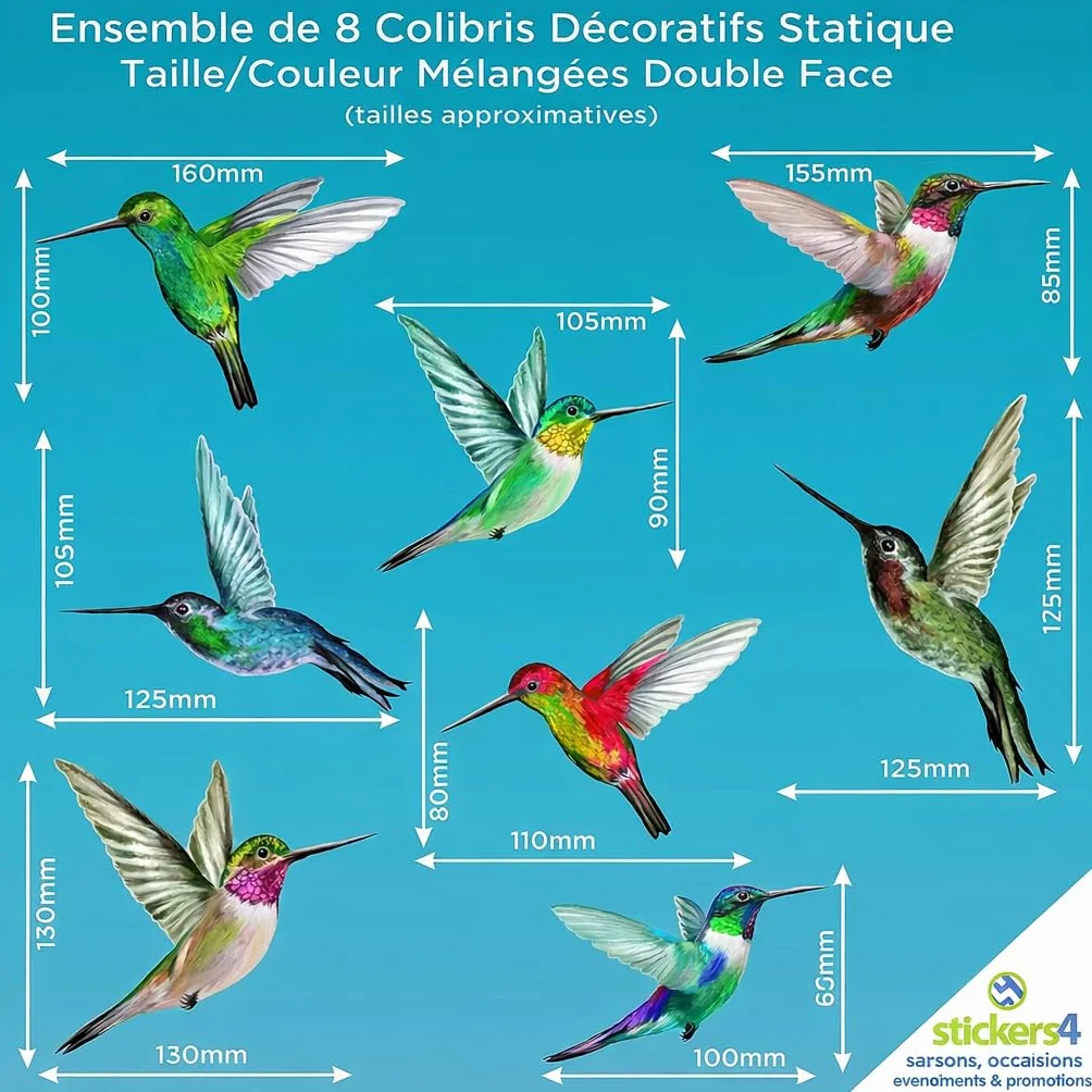 Autocollants Fenêtre Colibri 8 pièces Anti Collision Oiseaux