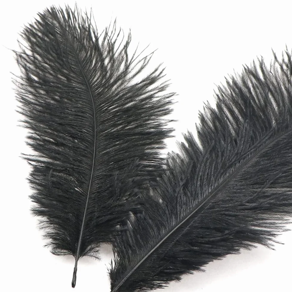 Plumes d'autruche naturelles 15-20 cm Lot de 10 Noir Décoration créative maison mariage