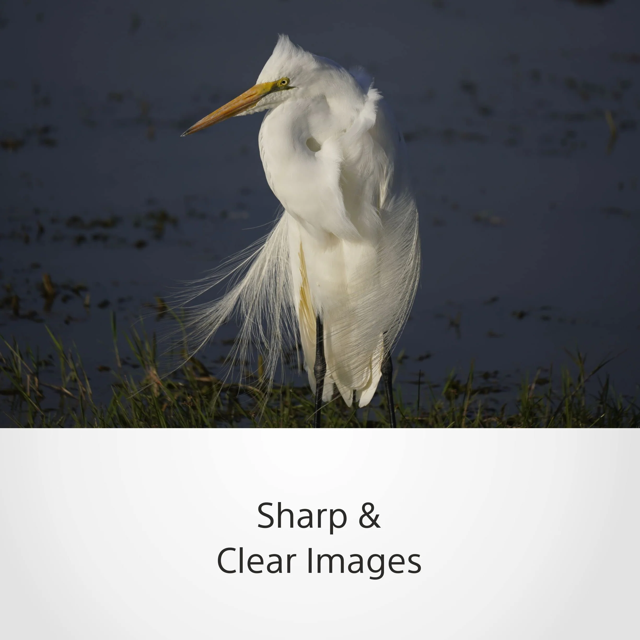 Sony 70–350 mm f/4.5–6.3 G OSS teleobiektyw zmiennoogniskowy APS-C (superzoom do dzikiej przyrody, sportu, portretów i fotografii plenerowej)