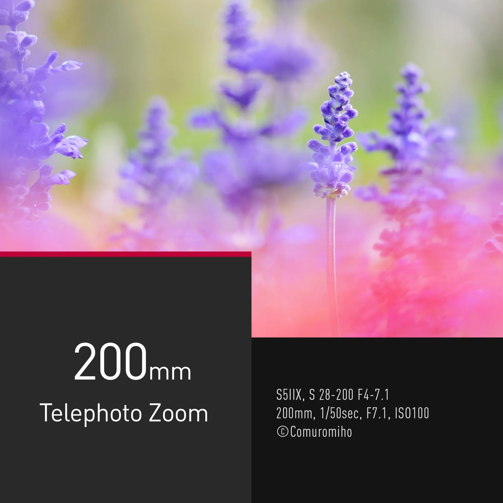 Panasonic Lumix S-R28200E 28-200mm F4.0-7.1 Obiektyw Makro, Obiektyw Pełnoklatkowy, Szeroki i Długi Obiektyw Zmiennoogniskowy, Dual IS 2, Odporny na Kurz, Zachlapanie i Mróz, do Filmów 4K, Czarny