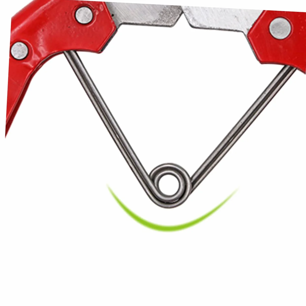 Ciseaux De Laine Pour Mouton Outils De Coiffure Animaux Toilettage