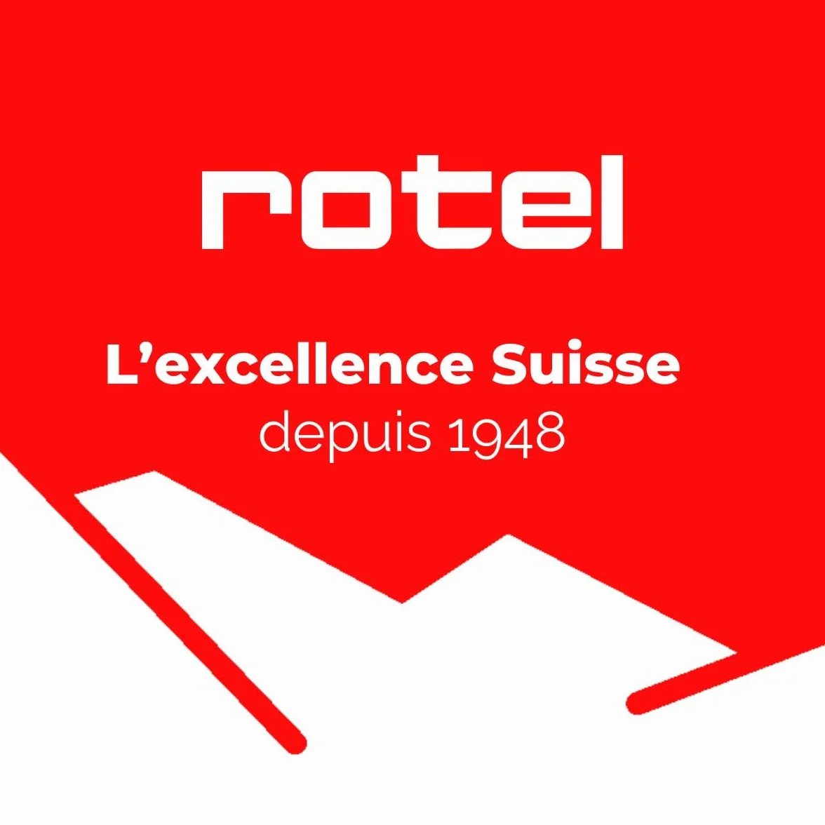 Rotel 1181250 Appareil à fondue chinoise avec fourchettes et épuisettes, appareil à fondue océane, marmite pour fondue chinoise, Acier inoxydable, Verre, Plastique, 39 x 37 x 22,5 cm