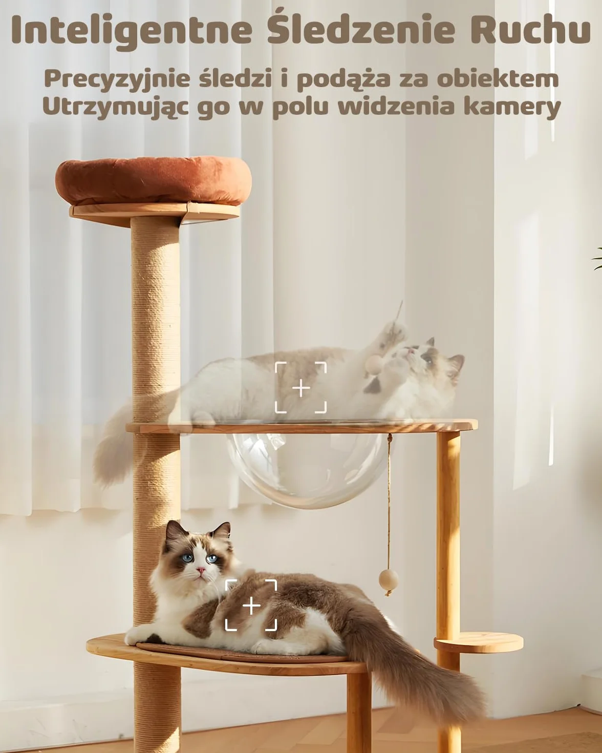 Kamera Wewnętrzna WiFi, Monitor Domowy IP CCTV z Wykrywaniem Humanoidów, Automatycznym Krążeniem, Kamery Opiekunkowej dla Zwierząt domowych, Monitorowanie Dziecka z Alarmem Dźwiękowym