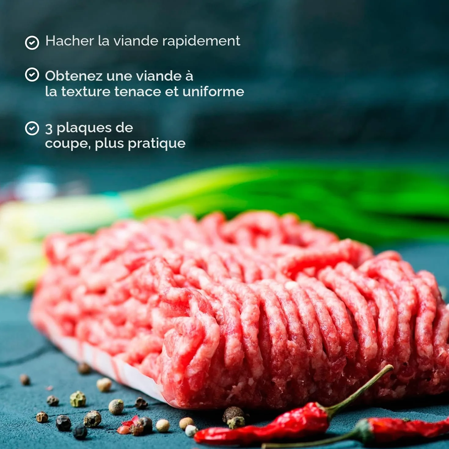 Edihome, Hachoir a Viande Electrique, avec Poussoir a Saucisse, Hachoir à Viande Professionnel, 2200W, Multifonction avec 3 Plaques de Coupe (Noir/Blanc)